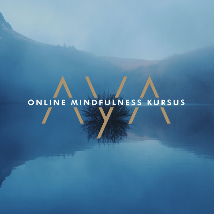 Online Mindfulness kursus