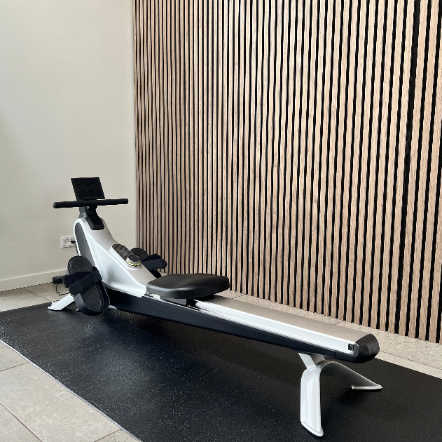 Romaskine RowFlex Vision med skærm holder og 2,5" LCD-skærm